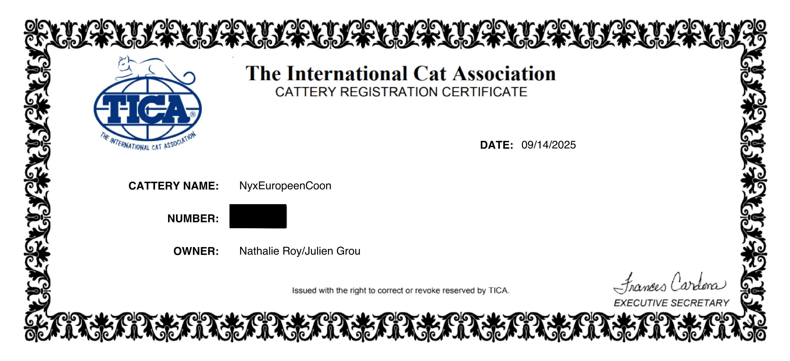 Certificat d'élevage Nyx European Maine Coon